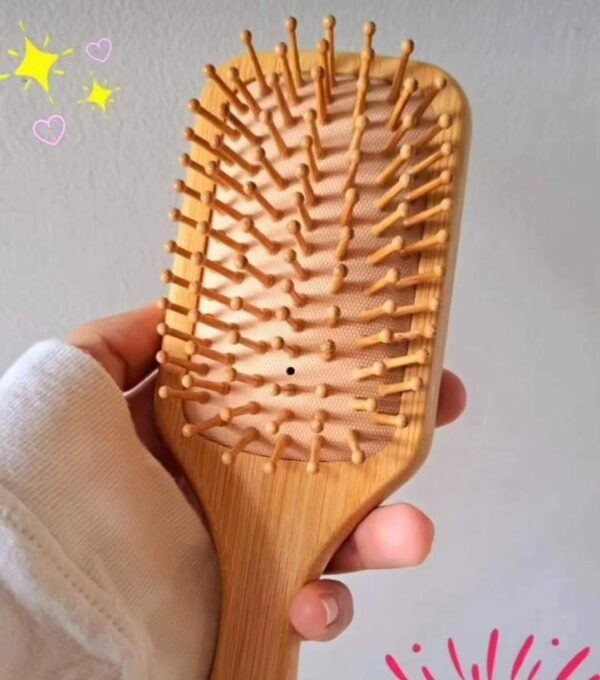 The Bamboo Hairbrush